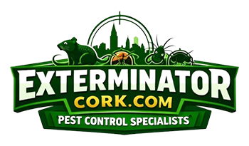 Exterminator Cork